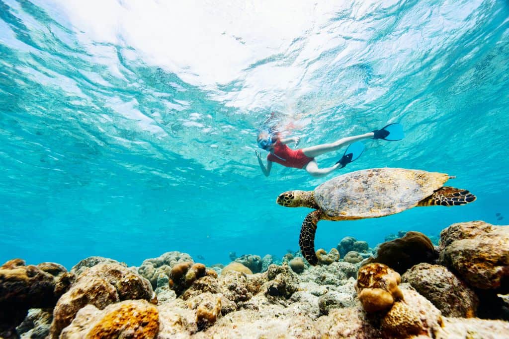 woman snorkeling next to sea turtle in maldives