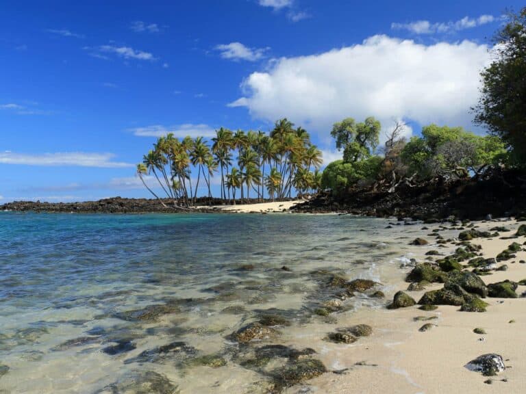 Big Island Food Tours: The BEST Tours + What To Expect 2025