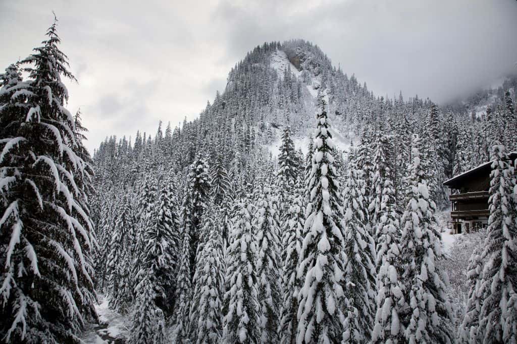 ski slope in snowy mountains