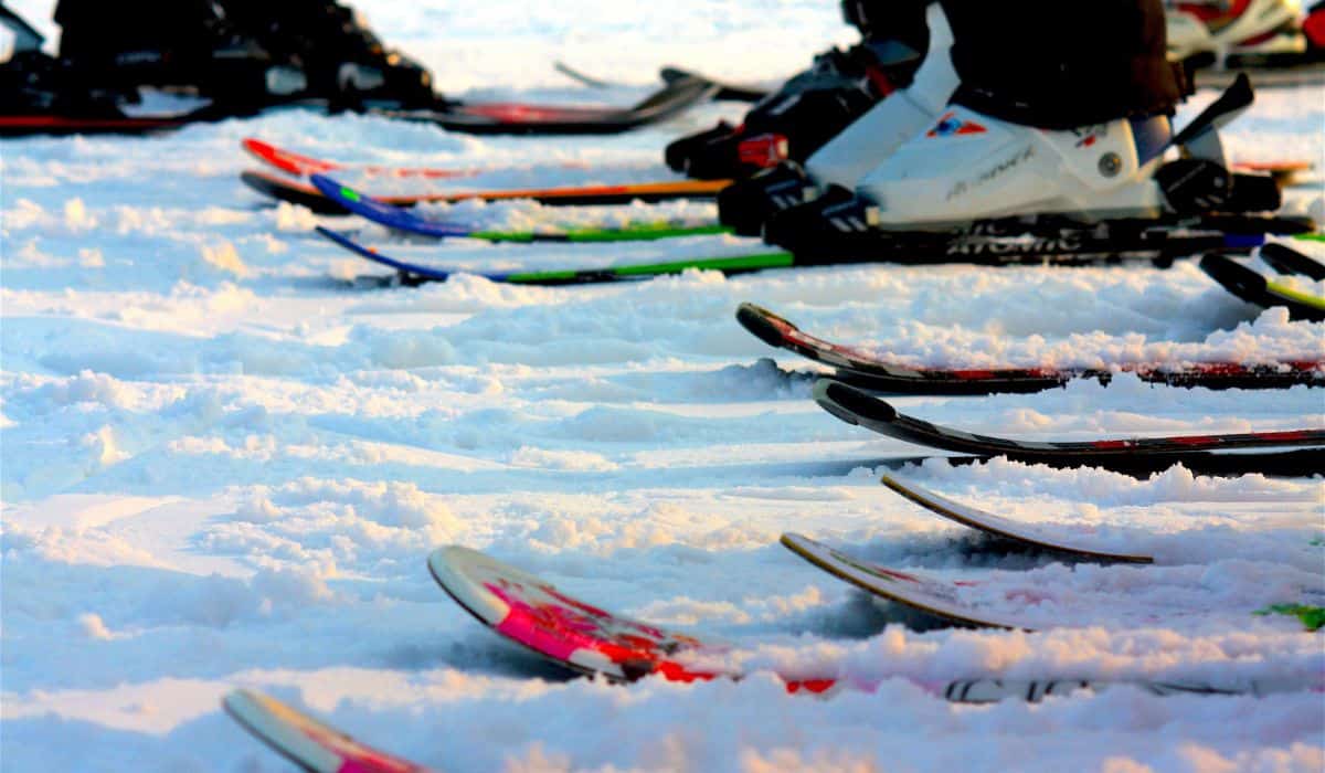Skis lined up in the snow
