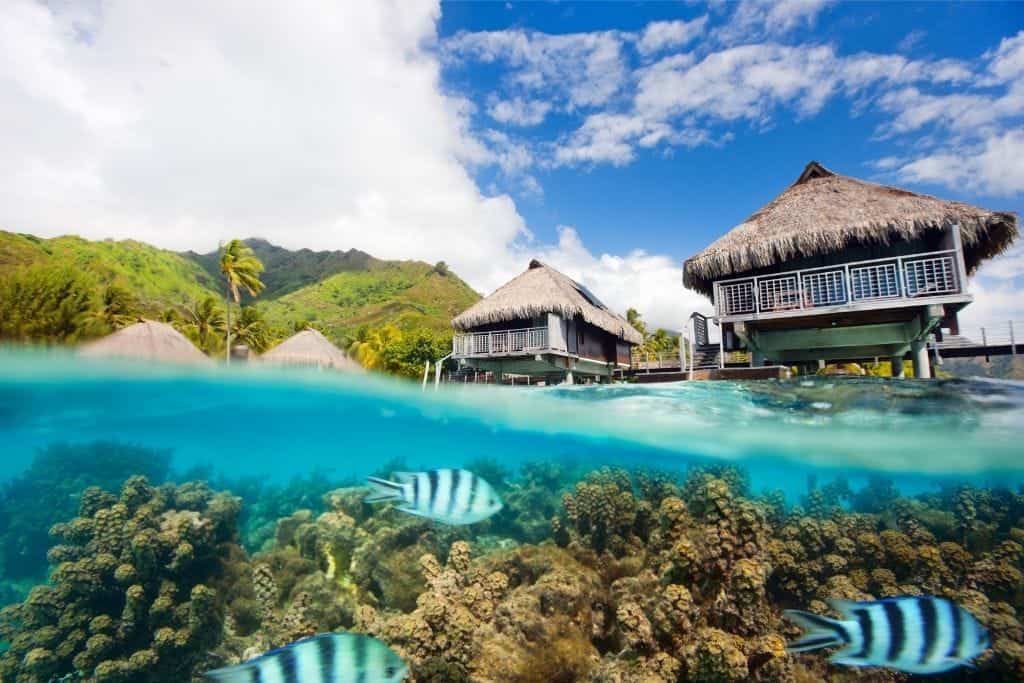 A view of overwater bungalows and tropical fish in the water in French Polynesia.