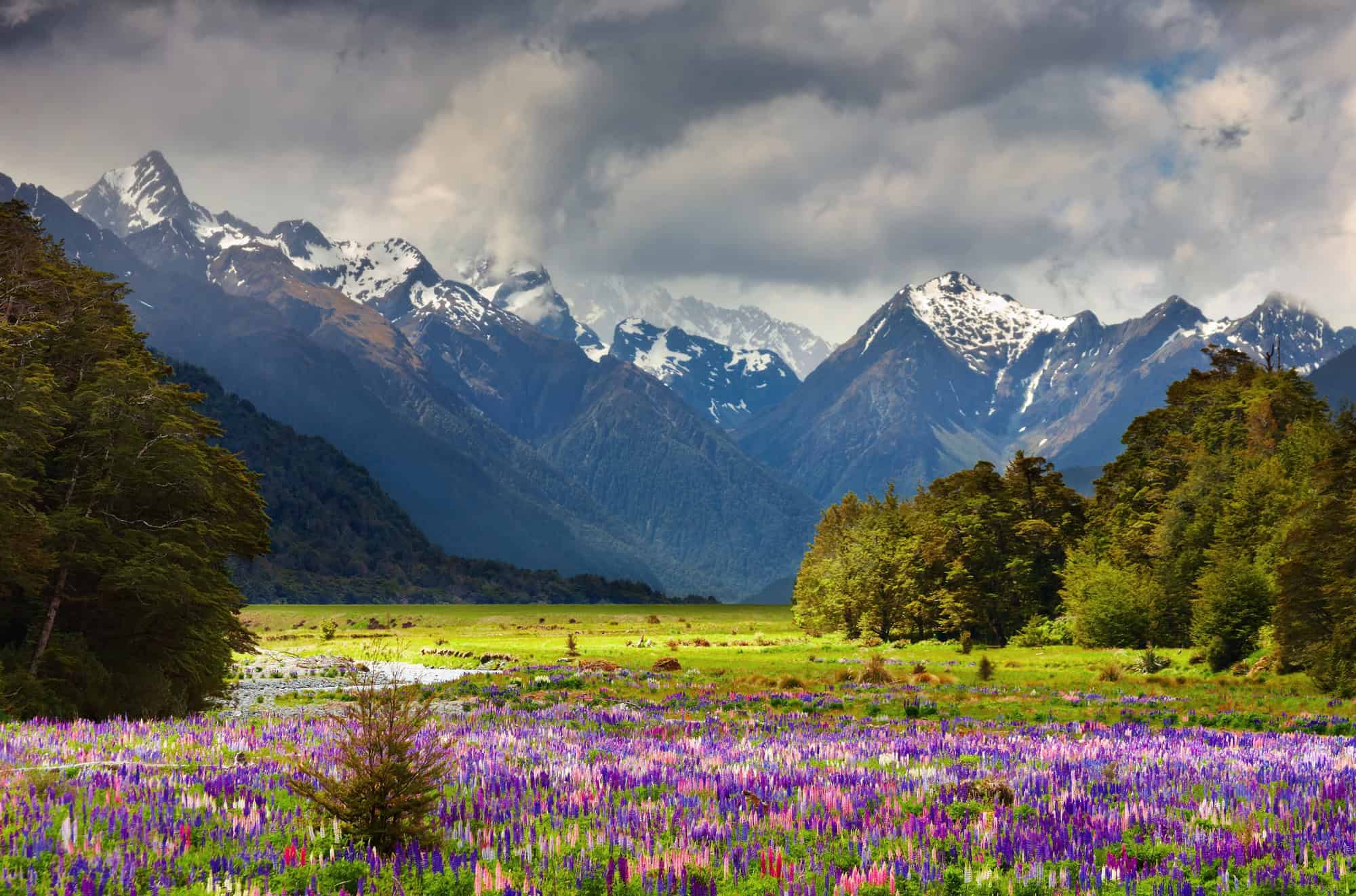 New Zealand