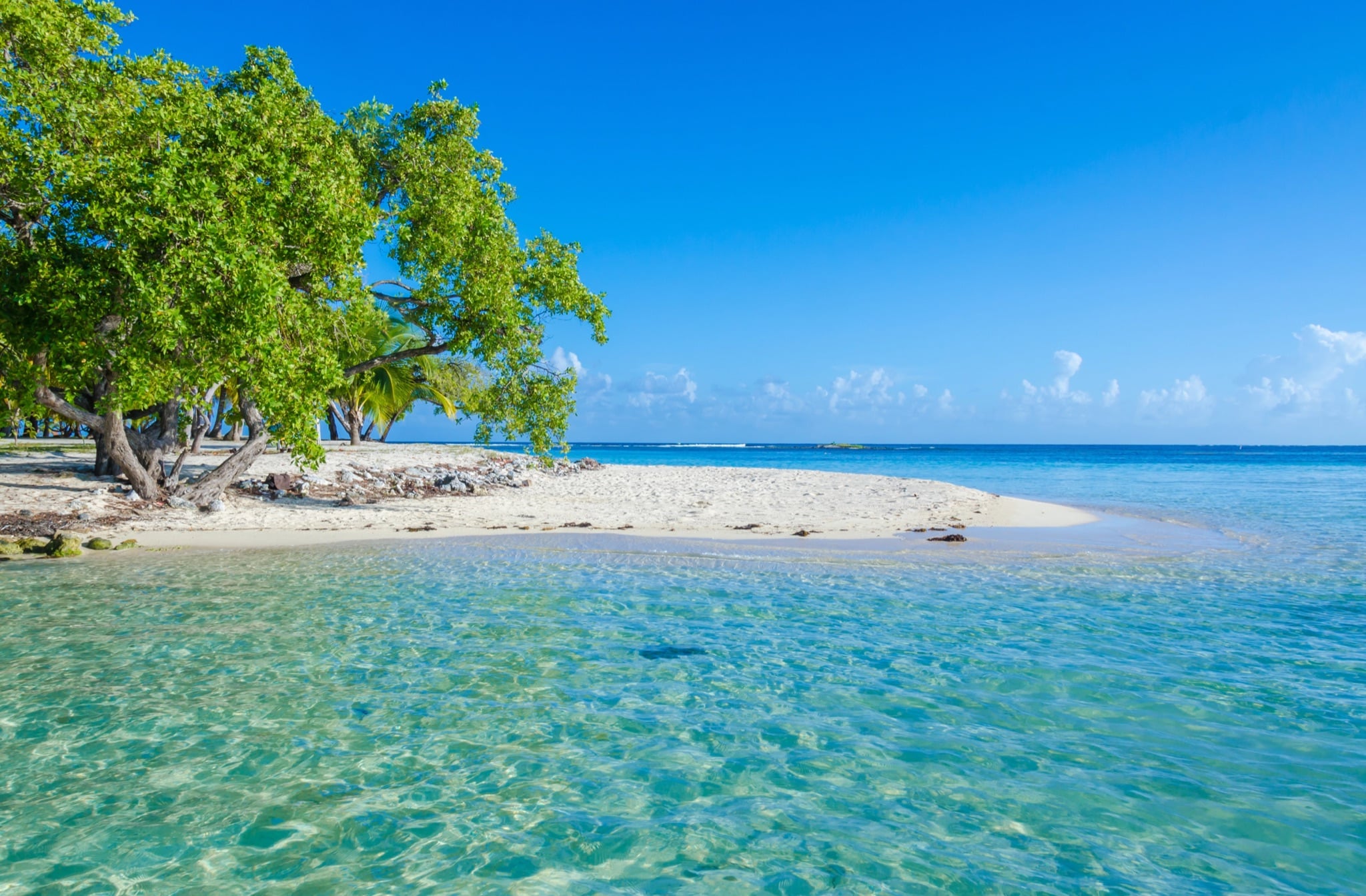 South Water Caye, a small island on the Belize Barrier Reef