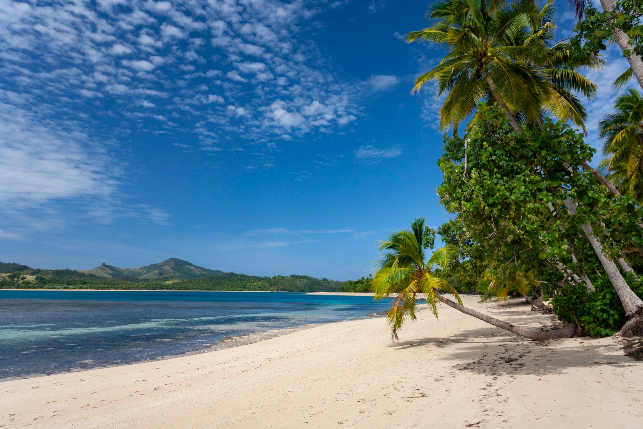 Palm-lined beach in the Yasawa Islands, Fiji